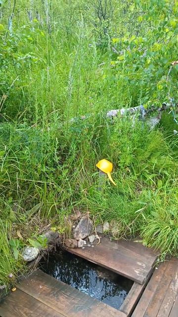 Нашел ИСТОЧНИК ЖИЗНИ в глухом Забайкалье!