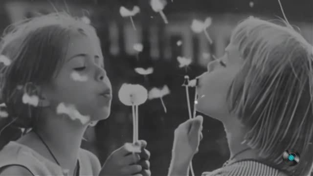 Песня стала всесоюзным шлягером, а фильм забылся смотреть онлайн