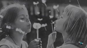 Песня стала всесоюзным шлягером, а фильм забылся