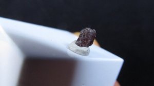 Пейнит купить