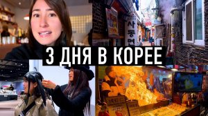 Тори Япония- После Японии Корея меня ШОКИРОВАЛА! Сеул за 3 дня