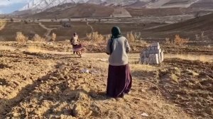 208ч.Тепло в сердце холодной природы: беспокойство матери за сына