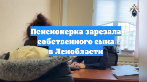 Пенсионерка зарезала собственного сына в Ленобласти