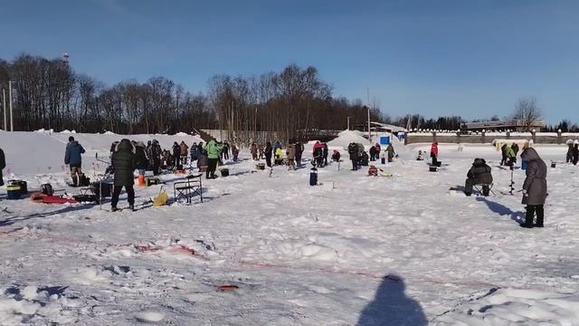 Видеообзор с водоема. смотреть онлайн