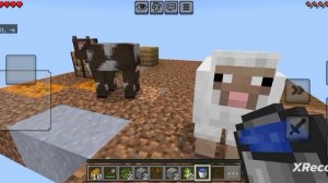 Скайблок с братом 1