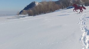 1000030633.mp4 рыбалка Жигулёвск зимний спининг