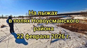 Воскресный ПВД на лыжах 22.02.26