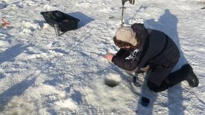 VID_20260223_110329_771