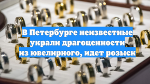 В Петербурге неизвестные украли драгоценности из ювелирного, идет розыск