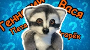 Выбираем для друга енота новое имя