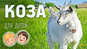 Коза. Видео про животных для детей 3+