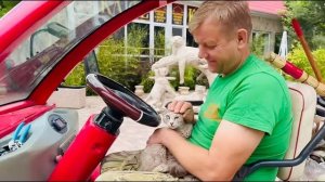 ПОСЛЕДНИЕ КАДРЫ с МоноЛизой, мы В УЖАСЕ, наша кошка куда-то пропала, дети ОСТАЛИСЬ ОДНИ!!!