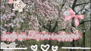 🌲🌳прогулка Беллы с подругой 🌲🌳