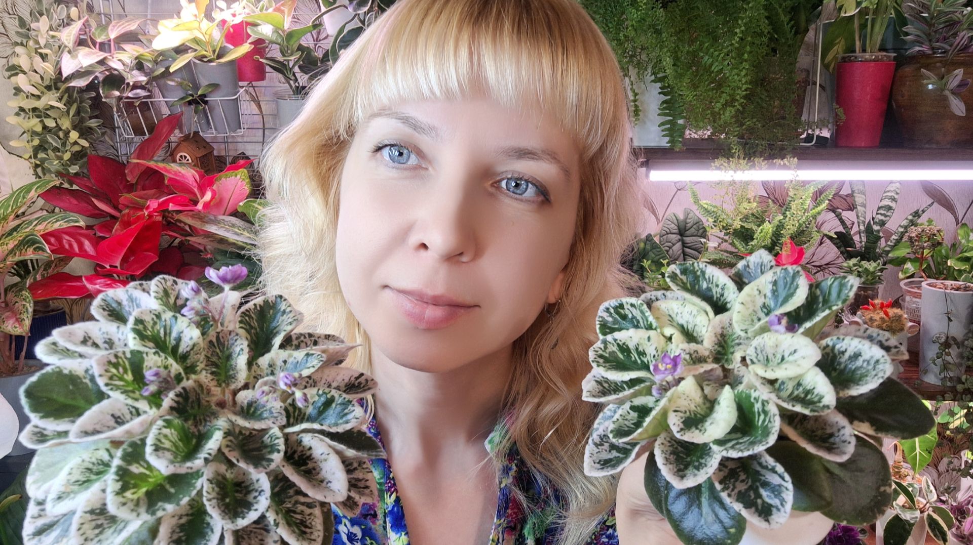 Любуемся растениями и ждем весну смотреть онлайн