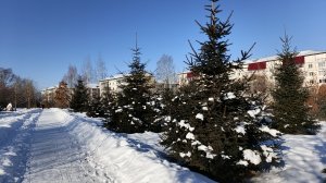 Я желаю счастья вам.