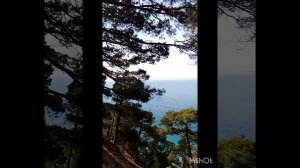 Ты меня никогда не увидишь..