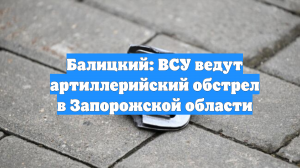 Балицкий: ВСУ ведут артиллерийский обстрел в Запорожской области