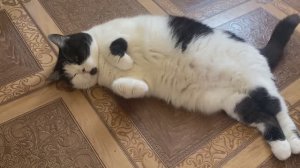 💥23 ФЕВРАЛЯ /💥/ ВКУСНЫЙ ПОДАРОК ОТ СЕСТРЫ👍