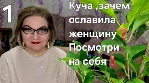1 часть. Куча, зачем ославила женщину❓️Посмотри на себя❗️