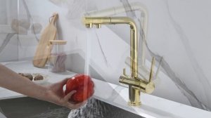 Смеситель для кухни с подключением к фильтру Paulmark Serpentine Se213222-G