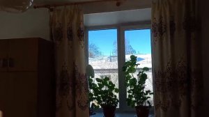 Новосибирск, Новоуральская улица, 23 продажа