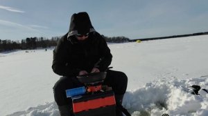 Трудовой мукбанг на рыбалке. Что-то пошло не так.