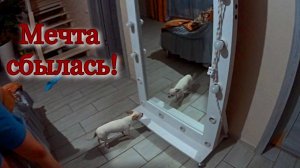 ПРОСТАЯ ЖИЗНЬ В ДЕРЕВНЕ. Покупки с озон и валберис. Подарок на 23 февраля.