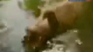 (ВИДЕО НЕ МОЁ) ПОТЕРЯННОЕ ВИДЕО ПРО ЩУКУ КЛЮКУ ИЗ СЕКРЕТОВ ЛУНТИКА