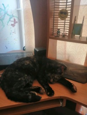 рассказываю о себе