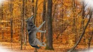 Луна и его друзья - 8 серия Поход ночью в лесу