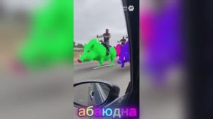 Лама мотик/ИИ /ПРИКОЛ 🔥 #рутуб #топ #абаюдна #ии #прикол