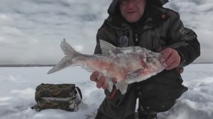 Дьявол снова подарил бонус. С праздником  Вас 23 февраля.