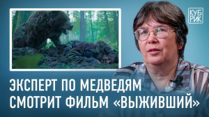 Специалист по медведям разбирает сцены из фильмов «Выживший», «На грани», «Игра престолов»