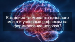 Как влияет доминанта головного мозга и условные рефлексы на формирование невроза?