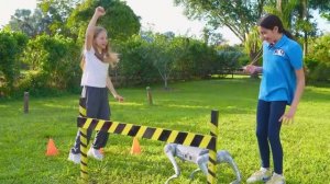 Забавные детективные истории для детей от Насти