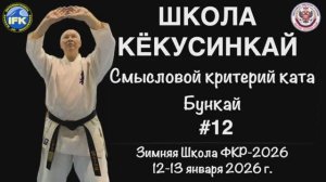 Кёкусинкай / Смысловой критерий ката / Бункай / Сихан Фомин В.П. (12)