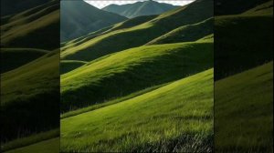 Все Иисусу отдаю я,
Весь Ему принадлежу