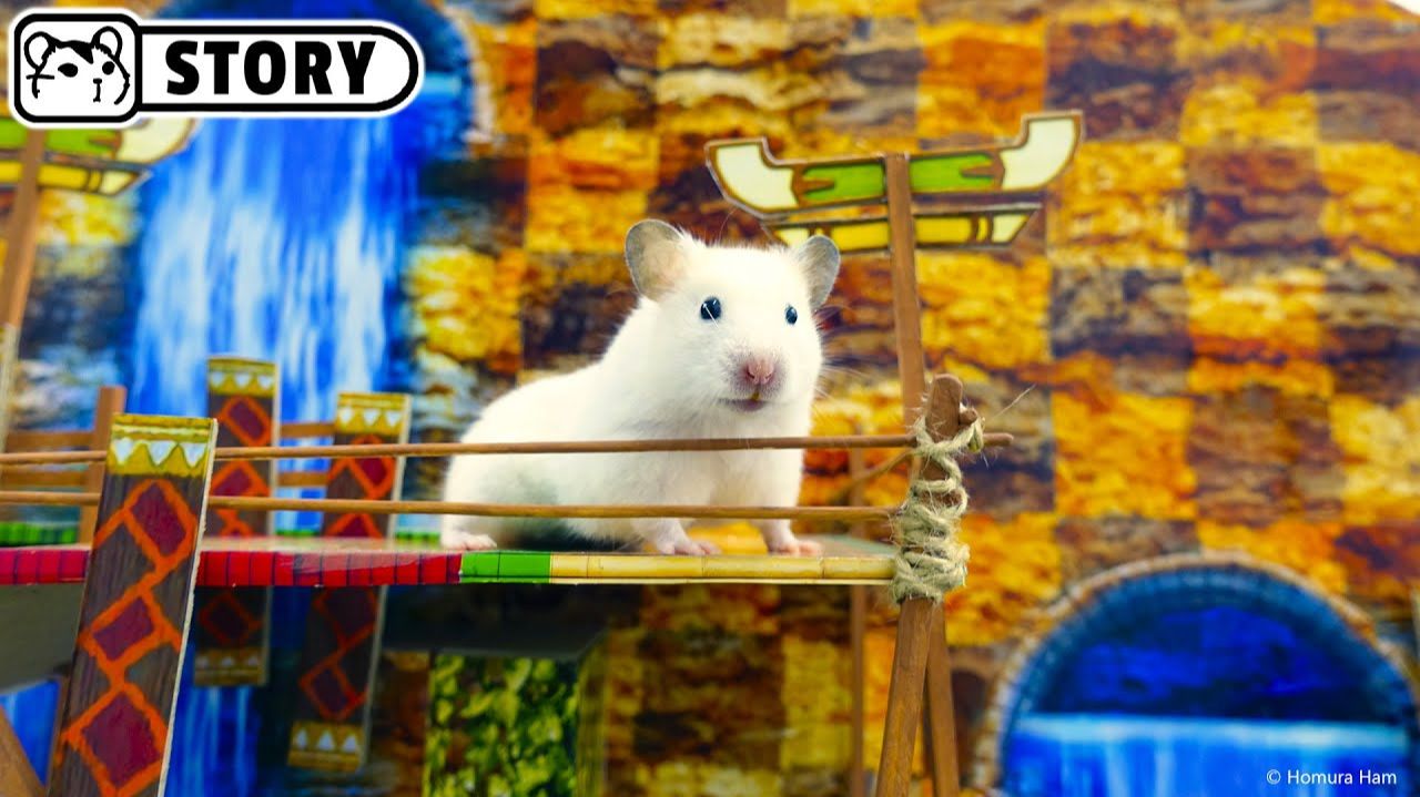 Соник в лабиринте хомяков. Эпизод 2 🐹 Хомяк Хомура смотреть онлайн