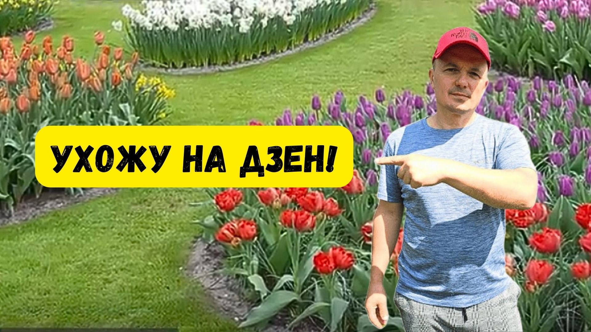 Будет интересно пообщаться на новой территории смотреть онлайн