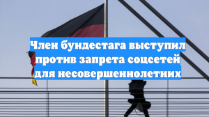 Член бундестага выступил против запрета соцсетей для несовершеннолетних