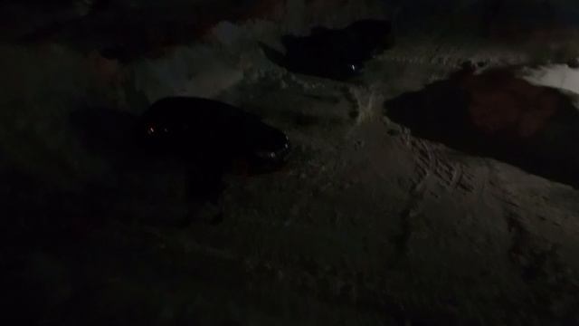 Душа болит за животных.🥺😢❤️🩹