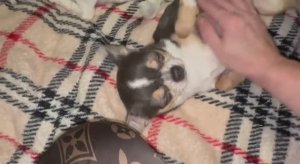 Всем наидобрейшего утречка и чудесного начала дня.