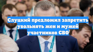 Слуцкий предложил запретить увольнять жен и мужей участников СВО
