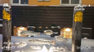 ПРОДОЛЖАЕМ ПРОГУЛКУ ПО НОВОГОДНЕМУ ГОРОДУ В ФЕВРАЛЕ КРАСОТА