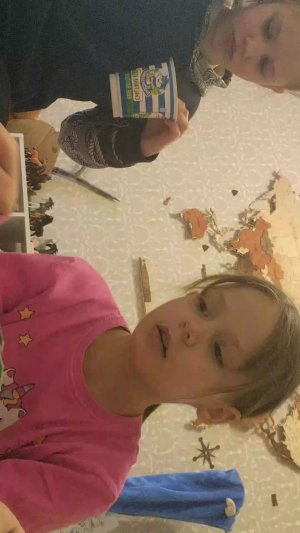 Раскрашиваем собак