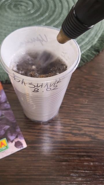 ВЫРАЩИВАЮ БАЗИЛИК ДОМА НЕ ХУЖЕ ЧЕМ С ГРЯДКИ👍🌿 ВЫРАЩИВАЮ БАЗИЛИК ДОМА НЕ ХУЖЕ ЧЕМ С ГРЯДКИ👍🌿