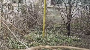 #201.Крым.Пешком 8 км.до Щебетовки.Устала,но счастливая.Немного Анапы.