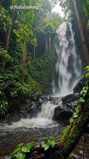 _Весна_ #музыка #music #стихи #топ #top #песни #баллада