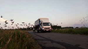 5 гонка. 300 км. Московский регион. Старт 23 июня 2019 года