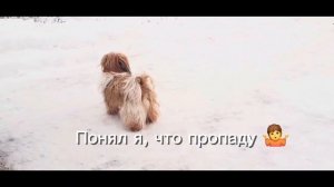 Странно.🧐Что случилось?🤭